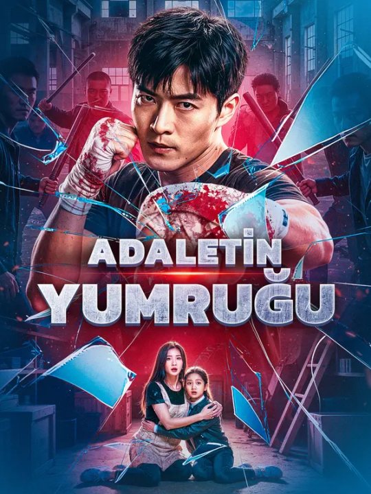 Adaletin Yumruğu(Dublajlı) kapak