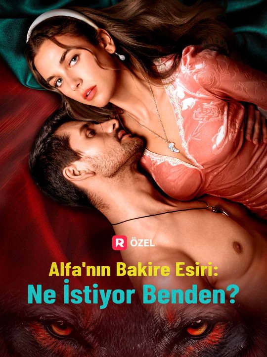 Alfa’nın Bakire Esiri: Ne İstiyor Benden? kapak