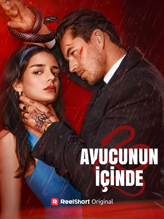 Avucunun İçinde kapak