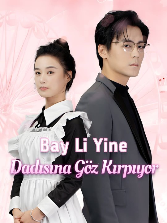 Bay Li Yine Dadısına Göz Kırpıyor kapak