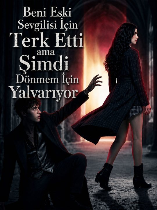Beni Eski Sevgilisi İçin Terk Etti ama Şimdi Dönmem İçin Yalvarıyor kapak