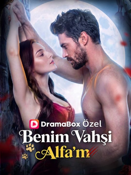 Benim Vahşi Alfa’m kapak