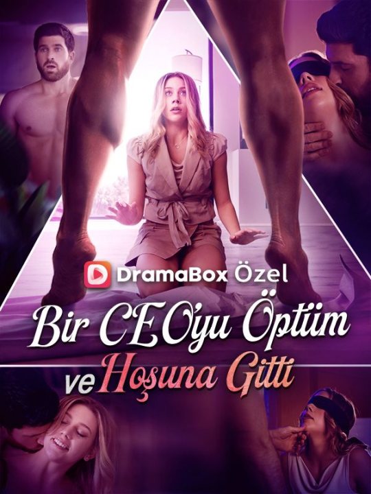 Bir CEO’yu Öptüm ve Hoşuna Gitti kapak