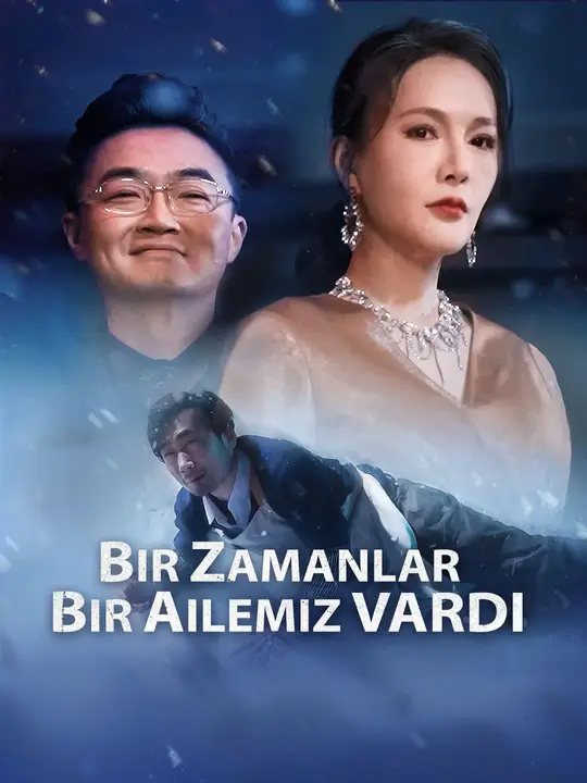 Bir Zamanlar Bir Ailemiz Vardı kapak
