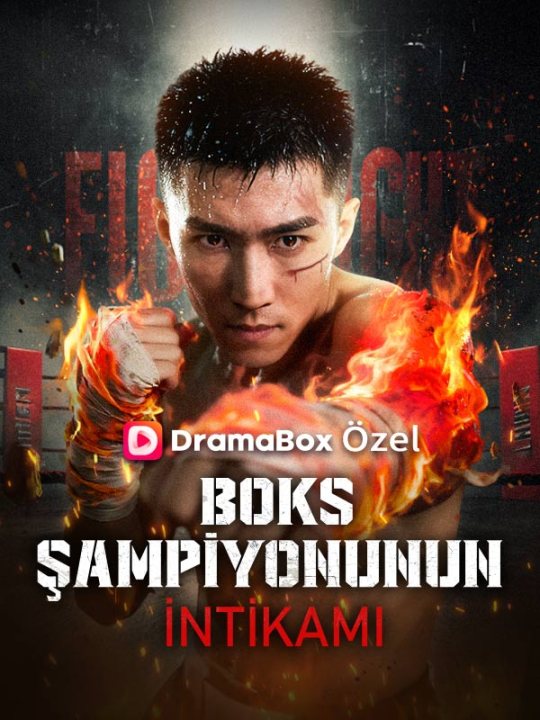 Boks Şampiyonunun İntikamı kapak