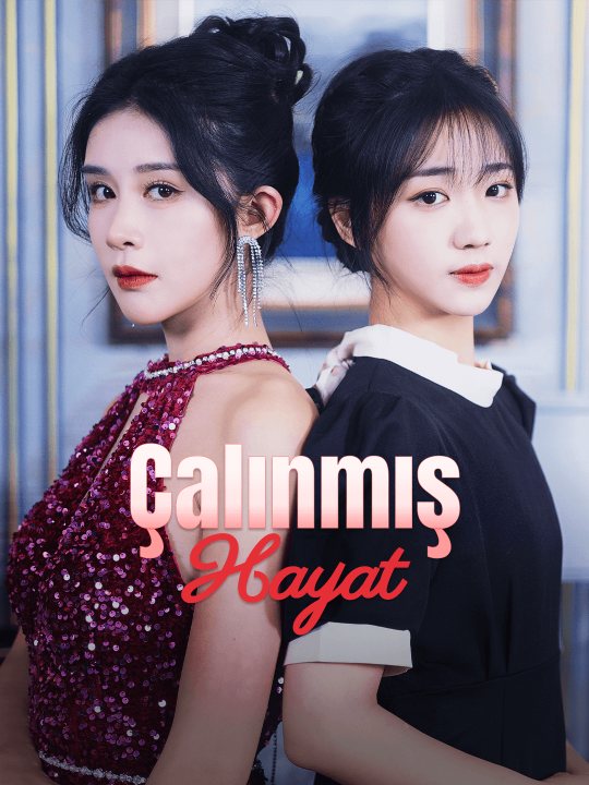 Çalınmış Hayat kapak