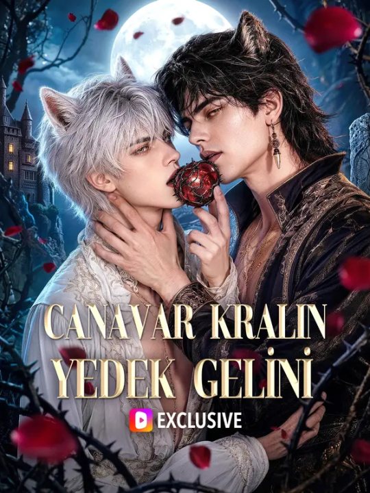 Canavar Kralın Yedek Gelini kapak