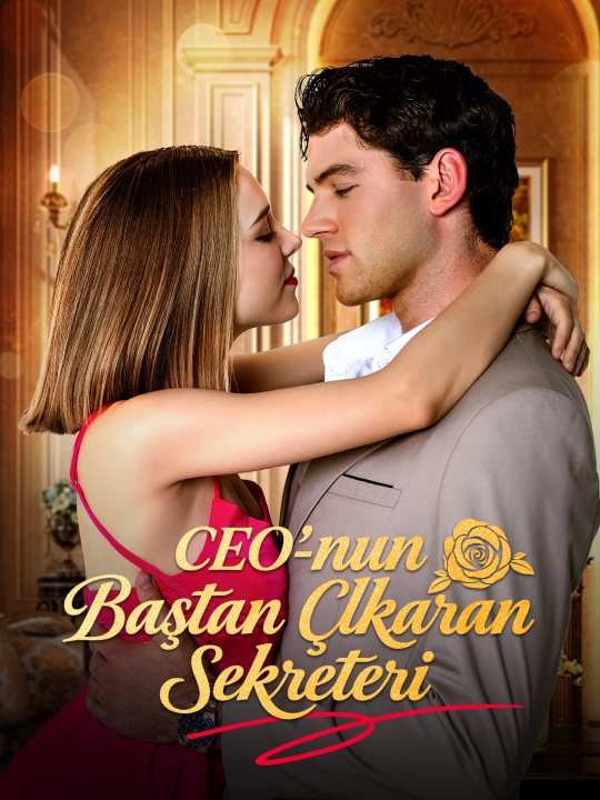 CEO’nun Baştan Çıkaran Sekreteri kapak