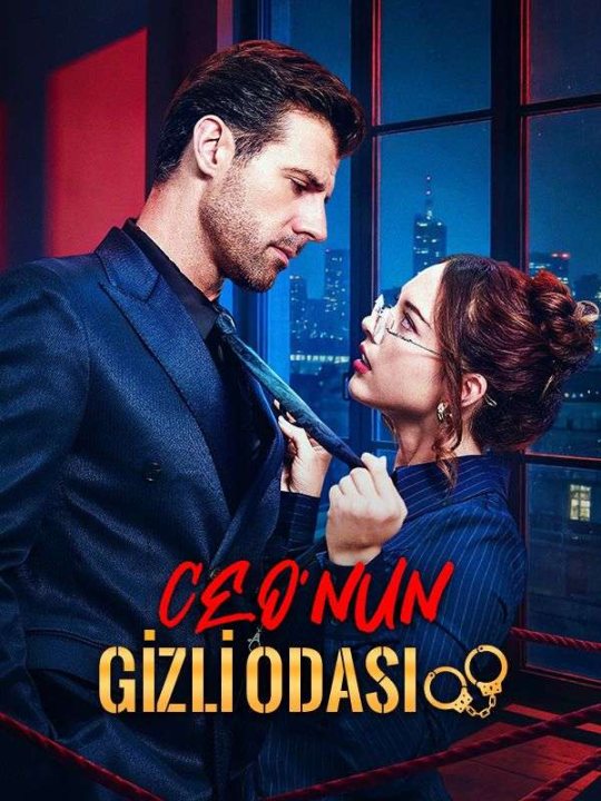 CEO’nun Gizli Odası kapak