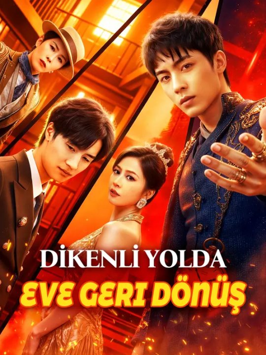 Dikenli Yolda Eve Geri Dönüş kapak