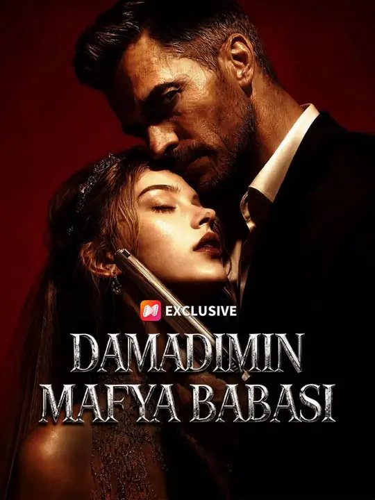 Damadımın Mafya Babası kapak