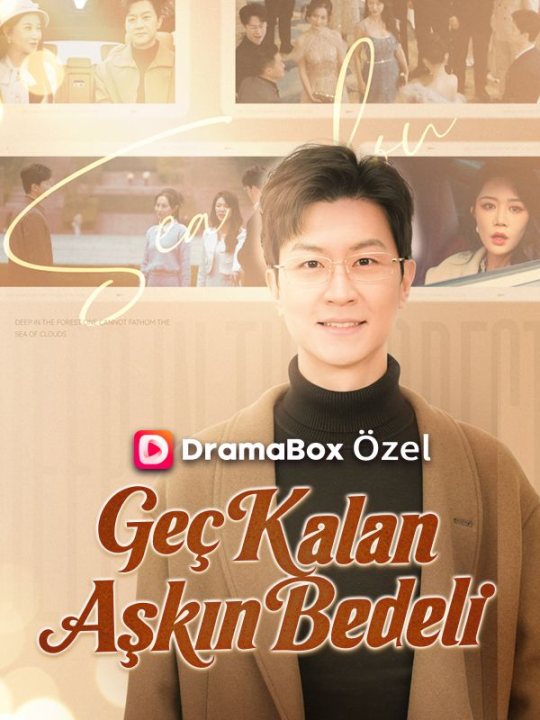 Geç Kalan Aşkın Bedeli kapak