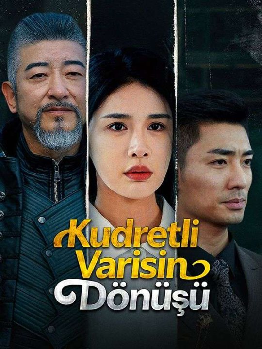 Kudretli Varisin Dönüşü kapak