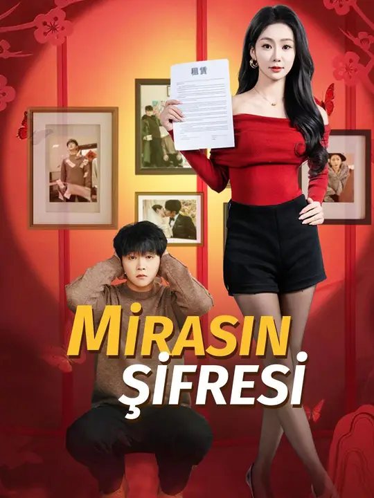 Mirasın Şifresi kapak
