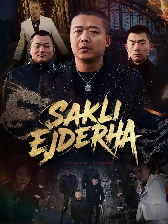 Saklı Ejderha kapak