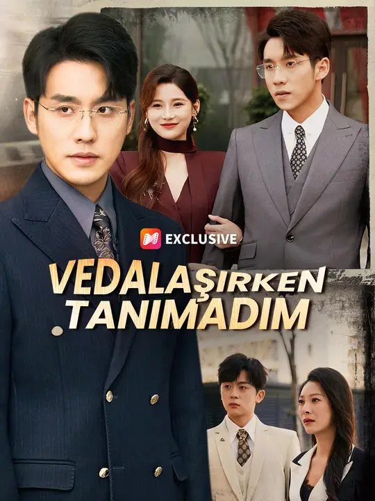 Vedalaşırken Tanımadım kapak