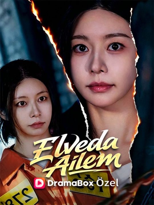 Elveda Ailem kapak