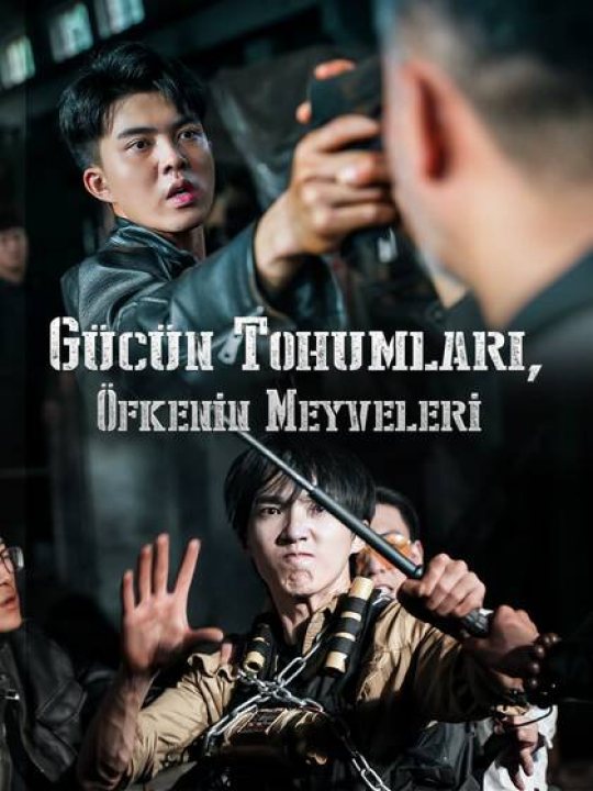 Gücün Tohumları, Öfkenin Meyveleri kapak