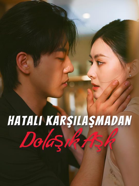Hatalı Karşılaşmadan Dolaşık Aşk kapak