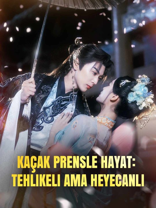 Kaçak Prensle Hayat: Tehlikeli Ama Heyecanlı kapak