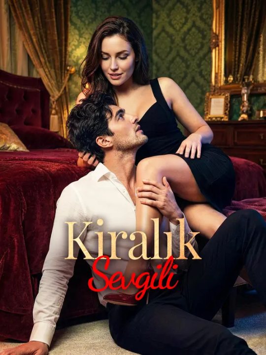 Kiralık Sevgili kapak