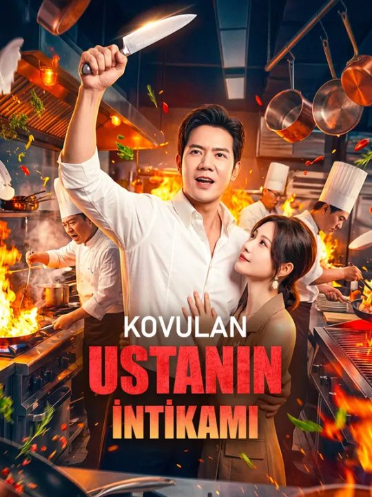 Kovulan Ustanın İntikamı kapak