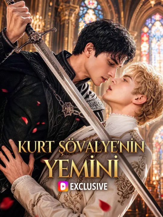 Kurt Şövalye’nin Yemini kapak