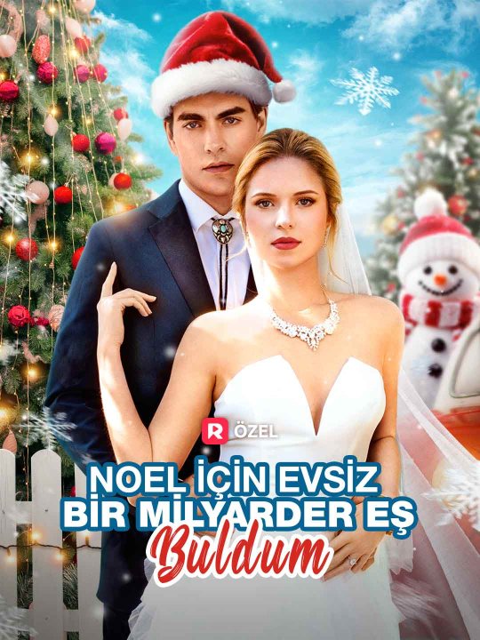 Noel için Evsiz Bir Milyarder Eş Buldum kapak