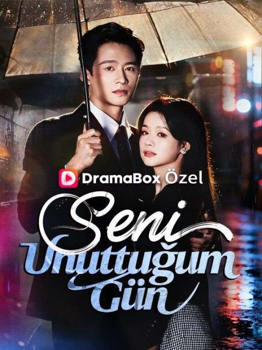 Seni Unuttuğum Gün kapak