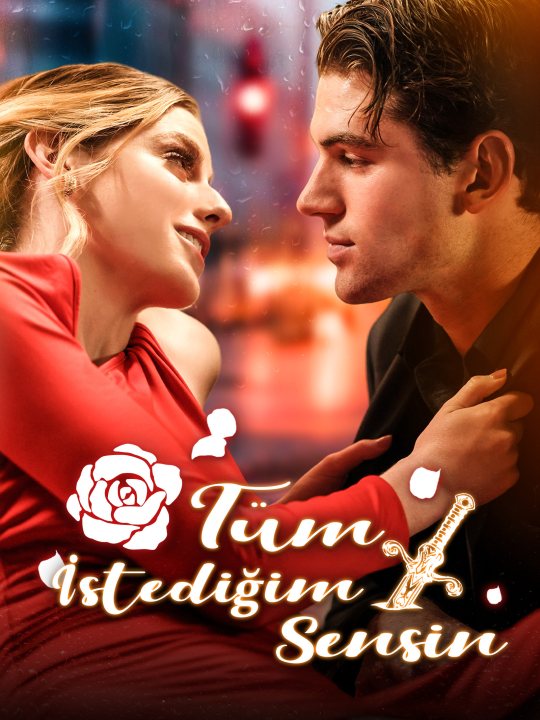 Tüm İstediğim Sensin kapak