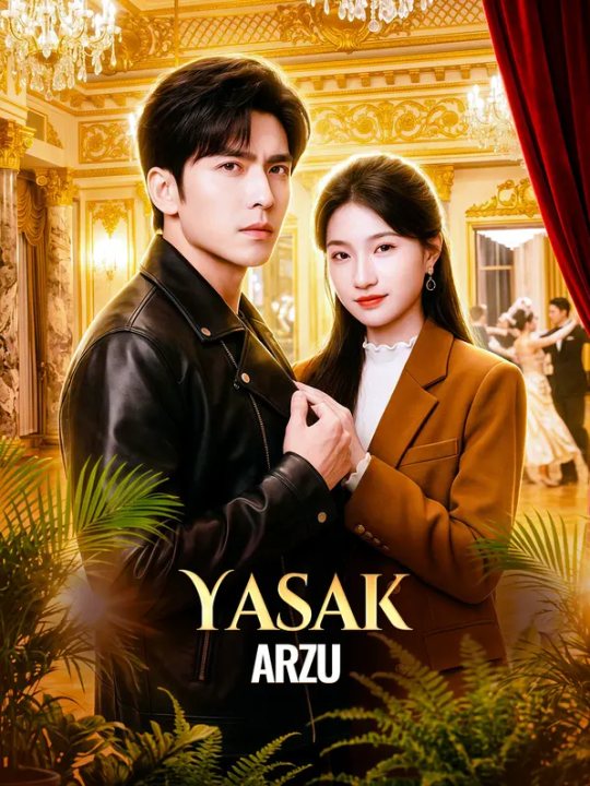 Yasak Arzu kapak